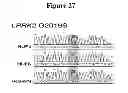 Fig. 28 - Pluripotent cell lines and methods of use thereof