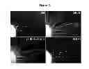 Fig. 33 - Pluripotent cell lines and methods of use thereof