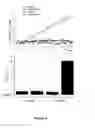 Fig. 07 - Pharmaceutical compositions comprising small interfering RNA inhibitors of NOX3