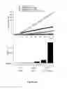 Fig. 08 - Pharmaceutical compositions comprising small interfering RNA inhibitors of NOX3