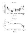 Fig. 03 - PLANT-BASED EGG SUBSTITUTE AND METHOD OF MANUFACTURE