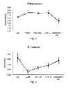 Fig. 04 - PLANT-BASED EGG SUBSTITUTE AND METHOD OF MANUFACTURE