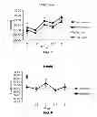 Fig. 05 - PLANT-BASED EGG SUBSTITUTE AND METHOD OF MANUFACTURE