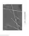Fig. 02 - Nanostructure dispersions and transparent conductors