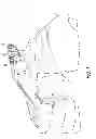 Fig. 02 - Texturing a wall or ceiling with non-acoustical joint compound