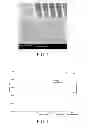 Fig. 03 - Spin-on carbon compositions for lithographic processing