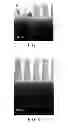 Fig. 05 - Spin-on carbon compositions for lithographic processing