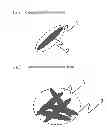 Fig. 01 - METALLIC MAGNETIC POWDER AND MANUFACTURING METHOD OF THE SAME, MAGNETIC PAINTING, MAGNETIC POWDER FOR MAGNETIC THERAPY, AND MAGNETIC RECORDING MEDIUM