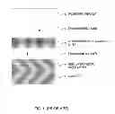 Fig. 02 - Feromagnetically coupled magnetic recording media