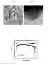 Fig. 02 - PROCESS FOR PREPARING A CORE-SHELL STRUCTURED LITHIATED MANGANESE OXIDE