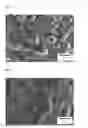 Fig. 07 - Electrode active material for lithium secondary battery