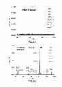 Fig. 19 - Nitrile-substituted silanes and electrolyte compositions and electrochemical devices containing them