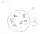 Fig. 02 - TONER FOR ELECTROSTATIC IMAGE DEVELOPMENT AND PRODUCTION PROCESS OF THE SAME