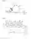 Fig. 02 - Magnetic carrier, two-component developer, replenishing developer, and image forming method