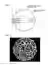 Fig. 02 - Magnetic carrier, two-component developer, developer for replenishment, and image forming method
