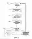 Fig. 02 - Method and system for quantitative assessment of social interactions nulling testing