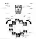 Fig. 35 - Method and system for quantitative assessment of social interactions nulling testing