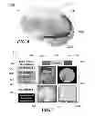 Fig. 07 - Method and system for quantitative assessment of facial emotion nulling
