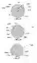 Fig. 22 - Method and system for quantitative assessment of facial emotion nulling