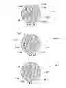 Fig. 24 - Method and system for quantitative assessment of facial emotion nulling