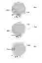 Fig. 30 - Method and system for quantitative assessment of facial emotion nulling