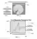 Fig. 40 - Method and system for quantitative assessment of social cues sensitivity