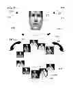Fig. 35 - Method and system for quantitative assessment of functional impairment