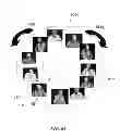 Fig. 37 - Method and system for quantitative assessment of functional impairment