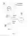 Fig. 07 - Integrated organ-on-chip systems and applications of the same
