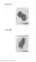 Fig. 08 - INTERPARTICLE SPACING MATERIAL INCLUDING NUCLEIC ACID STRUCTURES AND USE THEREOF