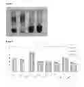 Fig. 02 - METHOD FOR ISOLATING NUCLEIC ACIDS FROM A VETERINARY WHOLE BLOOD SAMPLE