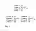 Fig. 03 - Methods and compositions for efficient base calling in sequencing reactions