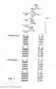 Fig. 04 - Methods and compositions for efficient base calling in sequencing reactions