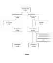 Fig. 02 - SINGLE NUCLEOTIDE POLYMORPHISMS ASSOCIATED WITH DIETARY WEIGHT LOSS
