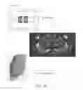 Fig. 22 - Systems and methods for imaging and processing tissue