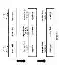 Fig. 06 - Nucleic acid sample preparation