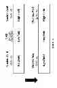 Fig. 07 - Nucleic acid sample preparation