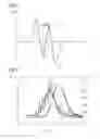 Fig. 03 - Determining the Dynamic State of Analytes by Magnetic Flow Measurement