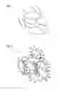Fig. 04 - Determining the Dynamic State of Analytes by Magnetic Flow Measurement