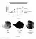 Fig. 05 - Baculovirus expression systems