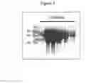 Fig. 04 - Mammalian Cell Culture System for Large-Scale Expression of Recombinant Proteins