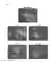 Fig. 09 - Methods and products for transfecting cells