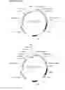 Fig. 15 - Polypeptides having glucoamylase activity and method of producing the same