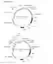 Fig. 16 - Polypeptides having glucoamylase activity and method of producing the same