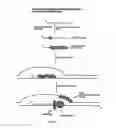 Fig. 02 - Methods for nucleic acid manipulation