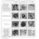 Fig. 01 - Method for Stably Preserving Useful Substances of Cells at Room Temperature