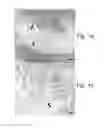 Fig. 02 - Methods of deriving mammalian pluripotent stem cell lines