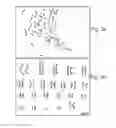 Fig. 04 - Methods of deriving mammalian pluripotent stem cell lines