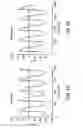 Fig. 09 - Biological Pacemaker