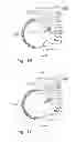 Fig. 16 - Nucleic acids for cloning and expressing multiprotein complexes